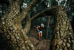 BIB: 
                            <button type="button" onclick="openModal(25668866)" class="btn btn-primary btn-sm float-right btn-popup" data-toggle="modal" data-target=".modal-high-quality">
                        <i class="fas fa-shopping-cart"></i> Add to Cart
                    </button>
                                            <button type="button" onclick="isThisMe(25668866, true)" class="btn btn-success btn-sm float-right btn-popup btn-isme hidden" data-toggle="tooltip" data-placement="bottom" title="นี่คือรูปของคุณใช่ไหม คลิกที่นี่เพื่อเอาเข้าอัลบั้ม">
                        <i class="fas fa-plus"></i> Add to album
                    </button>
                    <button type="button" onclick="isThisMe(25668866, false)" class="btn btn-warning btn-sm float-right btn-popup btn-isnotme hidden">
                        <i class="fas fa-ban"></i> Remove from album
                    </button>